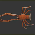 Detailed Red Lobster with Long Antennae Claws and Legs on Dark Reflective Surface