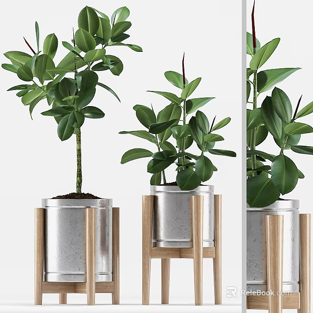 Stylish Decorative Plant Ornament Set With Green Potted Plants Metal Pots And Wooden Stands 3d model 