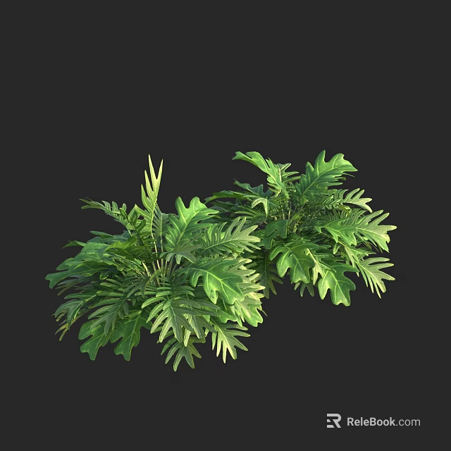 Fresh Green Decorative Plants With Lush Vibrant Leaves For Indoor Use 3d model 
