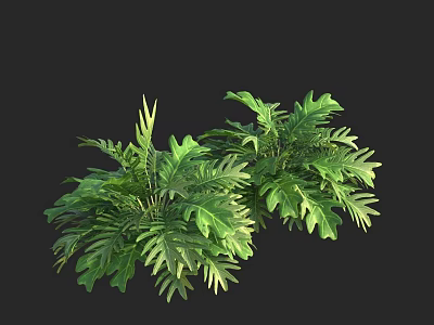 Fresh Green Decorative Plants With Lush Vibrant Leaves For Indoor Use 3d model