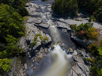 Scenic Natural Microtopography with Flowing River Rocks and Lush Green Trees 3d model