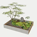 Plant Combination in Rectangular Container with Small Trees Ferns Moss and Pebbles 3d model