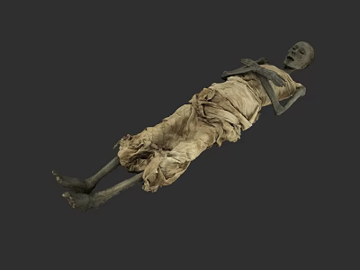 Ancient Man Mummy Lying with Tattered Cloth on Gray Background 3d model