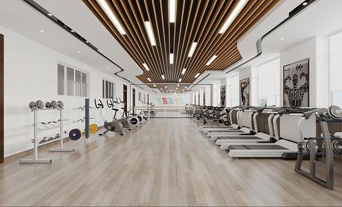 Gym Fitness Equipment Fitness Center 3d model