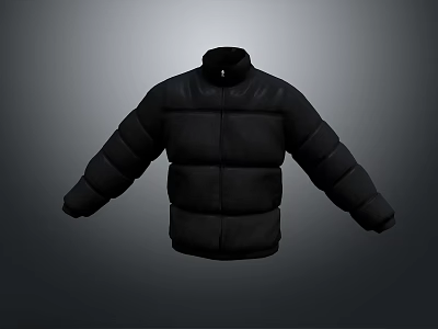 cotton-padded jacket down jacket goose down jacket thick clothes thick cotton-padded clothes autumn and winter clothing winter clothing autumn clothing 3d model