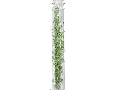 Decorative Roman Column with Lush Green Vines Climbing in Outdoor Garden Setting 3d model