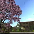 Garden Landscape With Pink Flowering Tree Blue Sky Falling Petals Building Greenery And Flower Beds