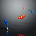 Colorful Marine Animals Including Clownfish Shark And Blue Tang In Dark Scene