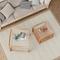 Modern Living Room Interior With Wooden Frame Coffee Tables Decorated Green Plant Magazine Cups Ornaments