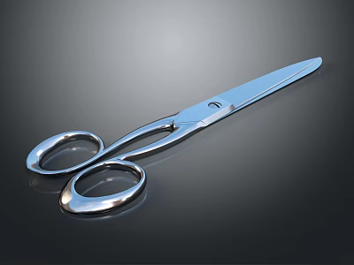 Stainless Steel Medical Scissors Designed For Professional Clinical And Surgical Use 3d model