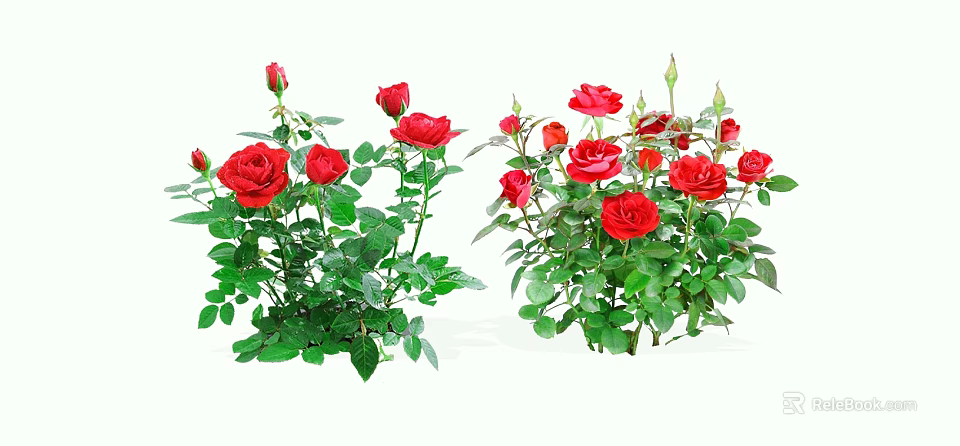 Two Bouquets Of Red Roses With Vibrant Green Leaves And Fresh Stems 3d model 