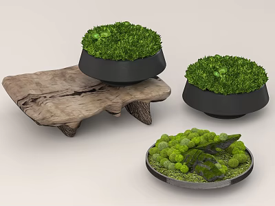 Bonsai Potted Plants With Wooden Base Black Pots And Green Moss Decor 3d model