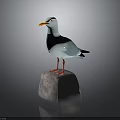 Lifelike Seagull Statue Perched On Gray Rock With Red Legs And Yellow Beak
