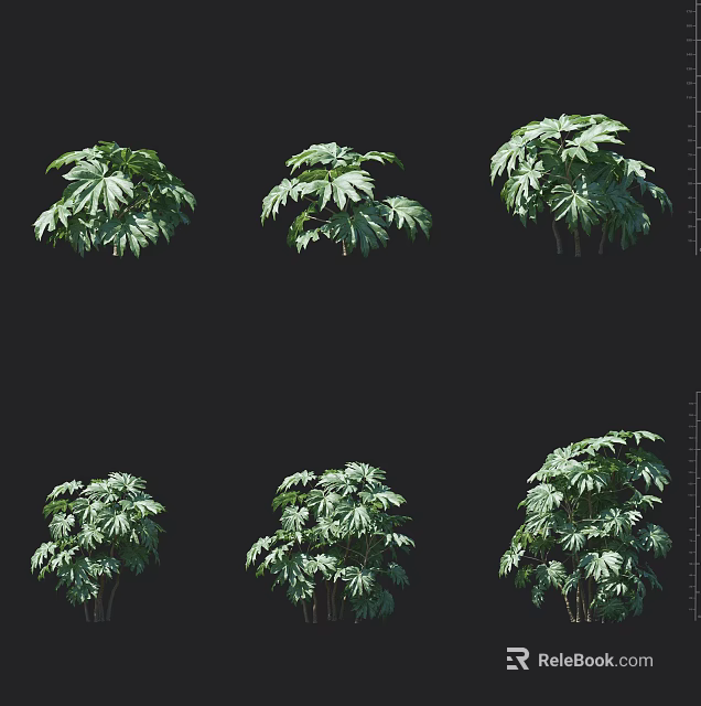 Lush Green Tropical Foliage Plants With Different Leaf Varieties 3d model