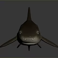 Brown Shark 3D Model with Fins on Gray Background and Reflection 3d model