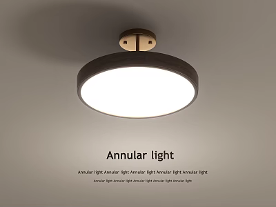 Modern Annular Ceiling Light With Bright Light And Sleek Design 3d model