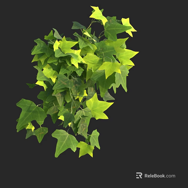 Vibrant Lush Ivy Leaves With Green And Yellow Foliage On Black Background 3d model 