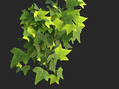 Vibrant Lush Ivy Leaves With Green And Yellow Foliage On Black Background 3d model