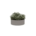 Natural Fresh Beige Cylindrical Vase With Lush White Flowers And Green Foliage