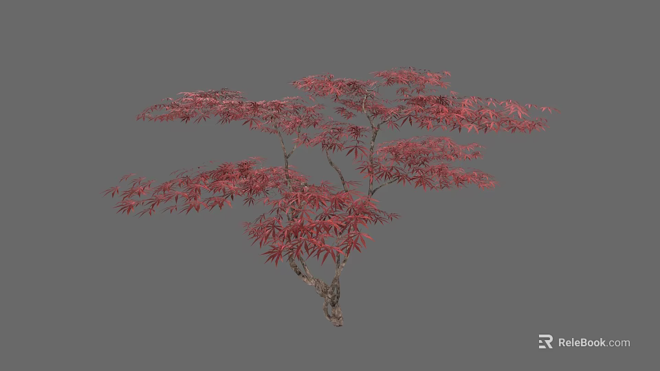 Elegant Red Leaf Arbor With Vibrant Foliage And Graceful Branches 3d model 