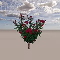 Beautiful Tree With Red Roses And Green Leaves In Full Bloom