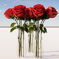 Bonsai Potted Plant With Red Roses Green Leaves And Blue Sky Background