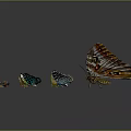 Modern Butterfly Various Butterfly Set Colored Butterfly 3d model