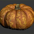 Fresh Orange Ripe Pumpkin With Textured Surface On Dark Background