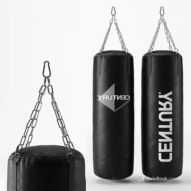 Century Boxing Punching Bags With Chain Hanging Different Sizes For Training Equipment 3d model 