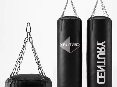 Century Boxing Punching Bags With Chain Hanging Different Sizes For Training Equipment 3d model