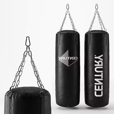 Century Boxing Punching Bags With Chain Hanging Different Sizes For Training Equipment 3d model