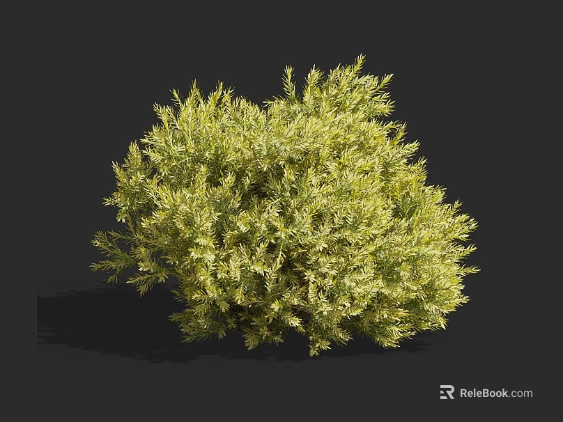 Lush Green Shrub with Vibrant Foliage and Dense Branch Growth for Garden Landscaping 3d model 