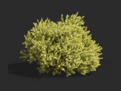 Lush Green Shrub with Vibrant Foliage and Dense Branch Growth for Garden Landscaping 3d model