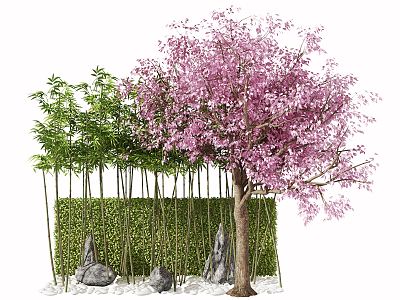 Modern Bamboo Landscape Tree model