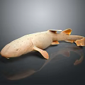 Light Pink Spotted Shark With Smooth Body Shape And Reflection On Dark Surface 3d model