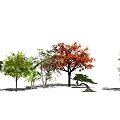 The Modern Tree 3d model