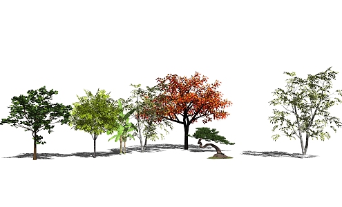 The Modern Tree 3d model