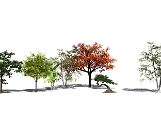 The Modern Tree 3d model