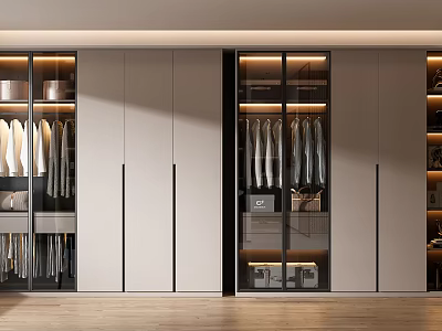 Modern Wardrobe Interior Design With Glass Door Panels And Hanging Clothes Storage 3d model
