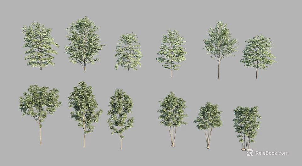 Various Arbor Trees With Different Heights Leaf Shapes And Crown Structures 3d model