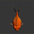 Fish Goldfish Freshwater Fish Sea Fish Animal Game Animal Cartoon Animal Animal Realistic Animal 3d model