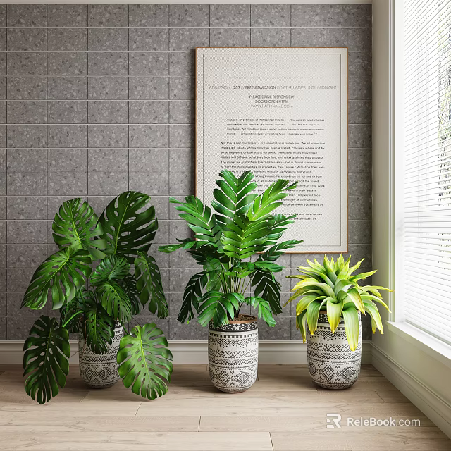 Indoor Potted Plants With Large Green Leaves In Decorative Ceramic Pots For Home Decoration 3d model 