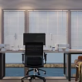 Computer Monitor Setup in Office Workspace with Black Chair Blind Windows and Seaview