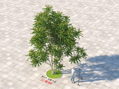 Three Level Arbor with Circular Lawn on Square Stone Pavement and Person Standing Beside 3d model