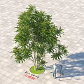 Three Level Arbor with Circular Lawn on Square Stone Pavement and Person Standing Beside