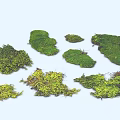 Various Natural Moss Pieces For Decorative Use With Different Shapes And Textures