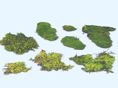 Various Natural Moss Pieces For Decorative Use With Different Shapes And Textures 3d model