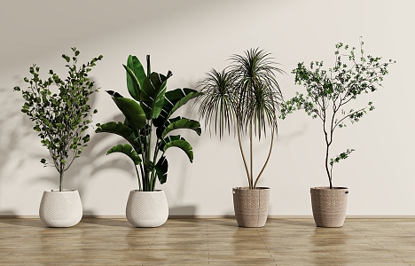 Green plant potted combination 3d model