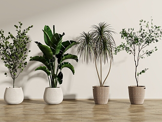 Green plant potted combination 3d model