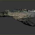 Wood And Stone 3D Model Natural Landscape With Moss Green Plants And Rock Textures